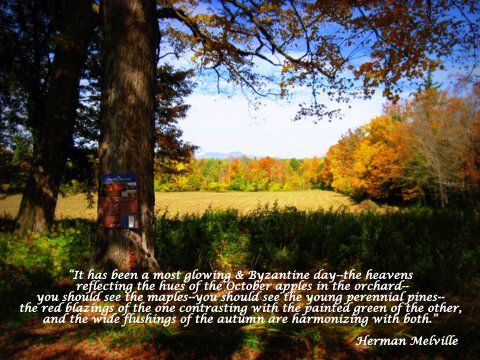 The view of Mt. Greylock to the north inspired Herman Melville The view of Mt. Greylock to the north inspired Herman Melville