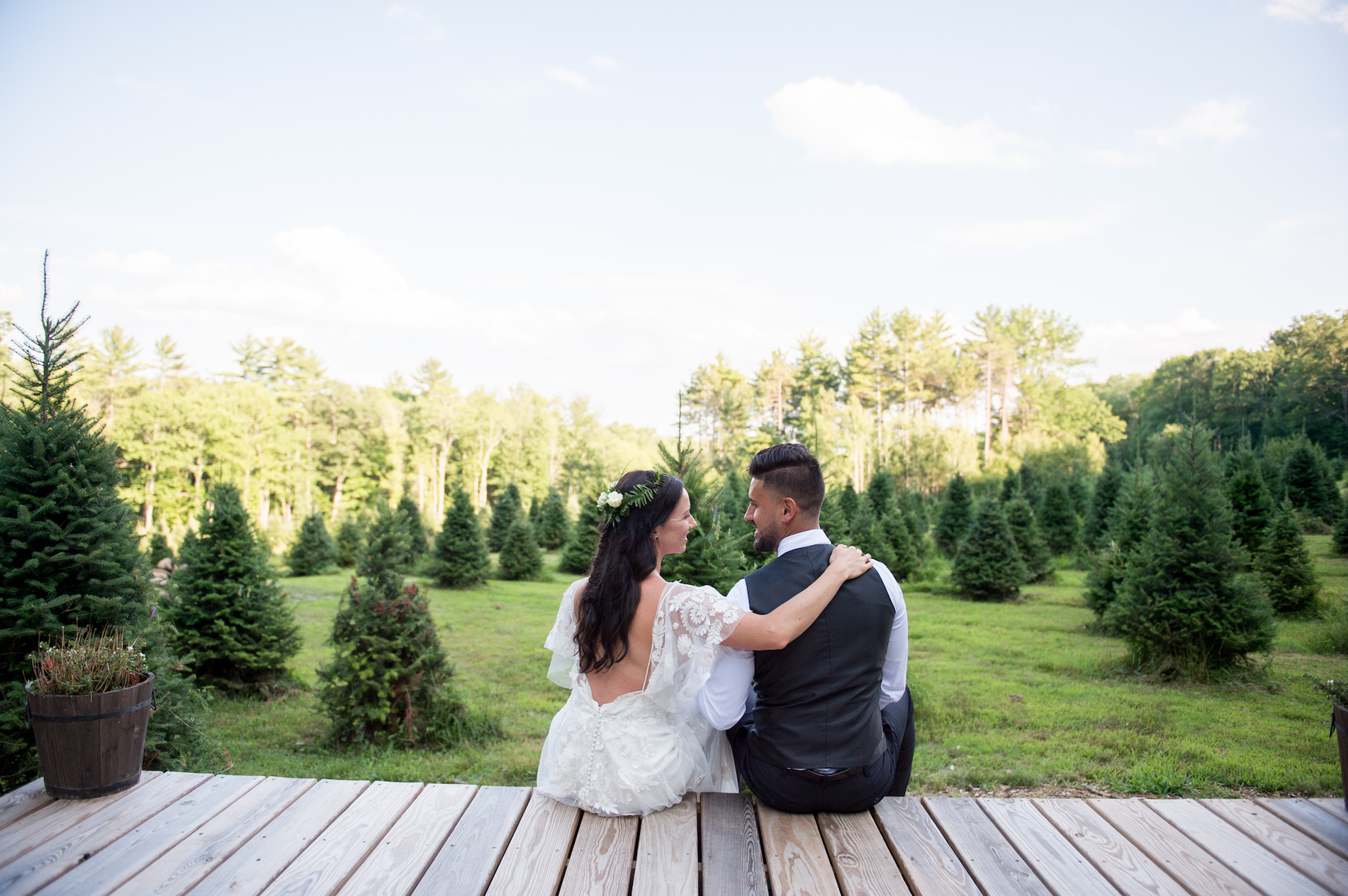 Tree Farm