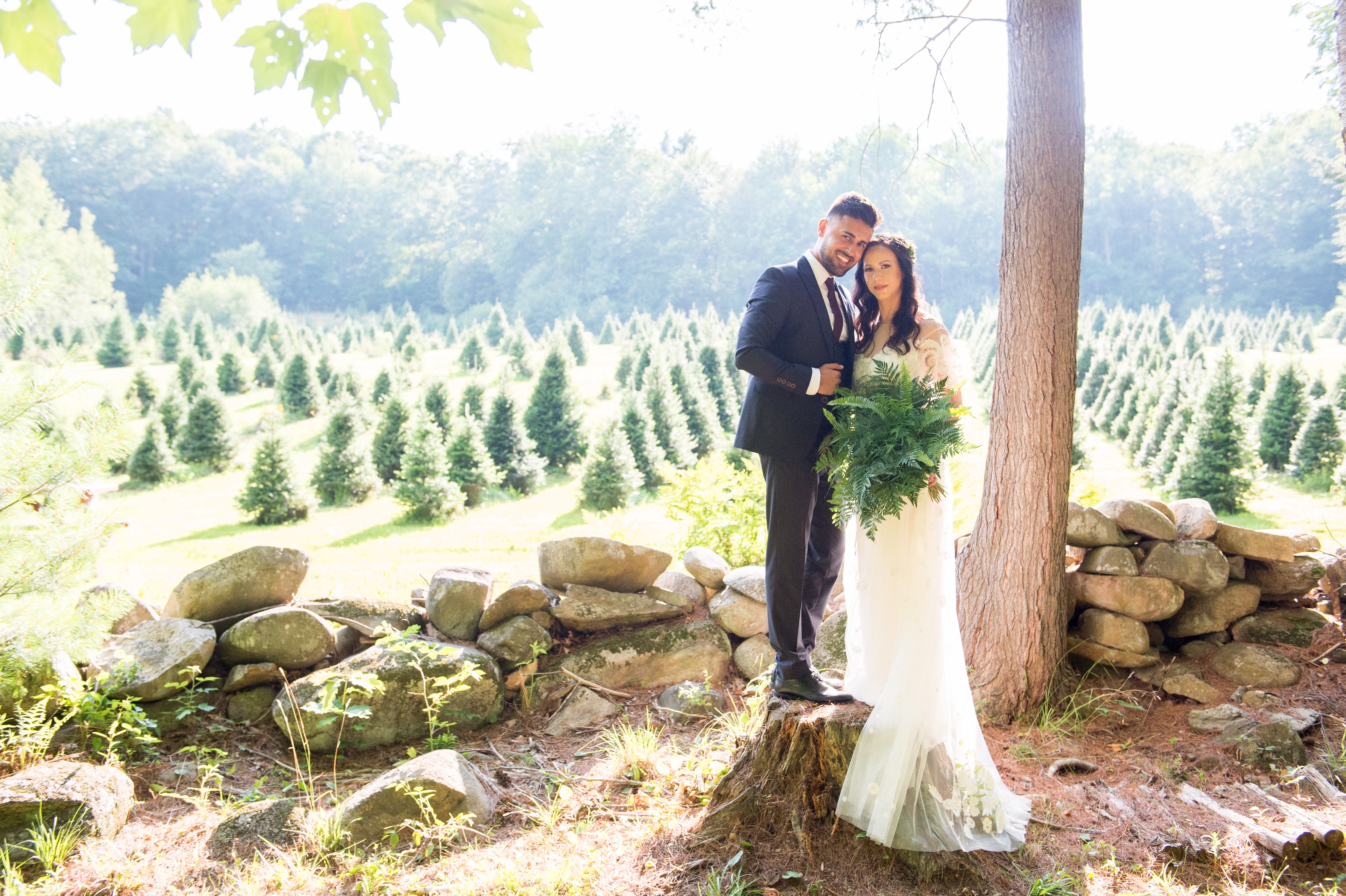 Tuckaway Tree Farm