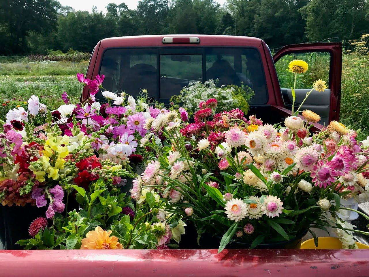 Flower Truck
