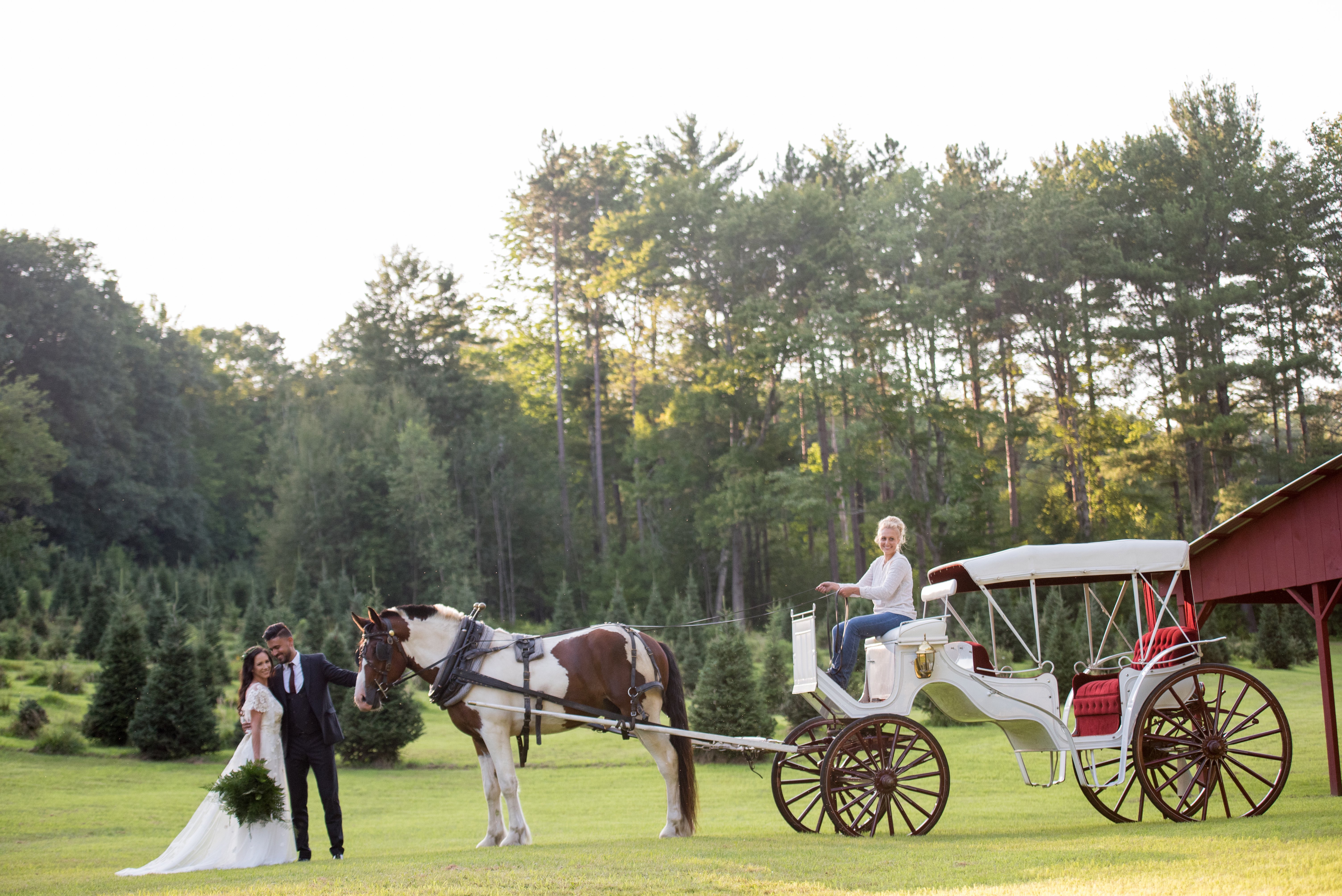 Tuckaway Tree Farm Carriage