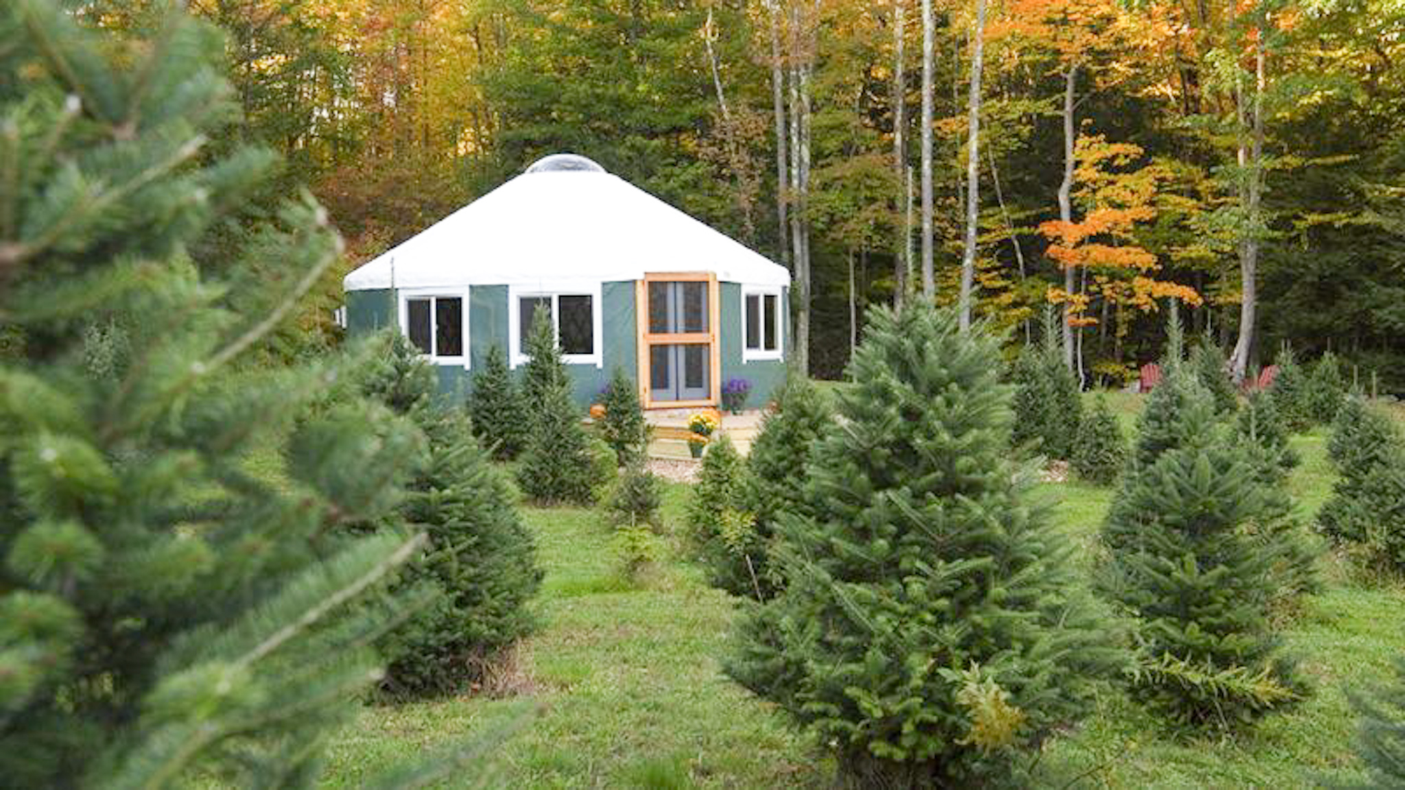 Tuckaway Tree Farm Yurt